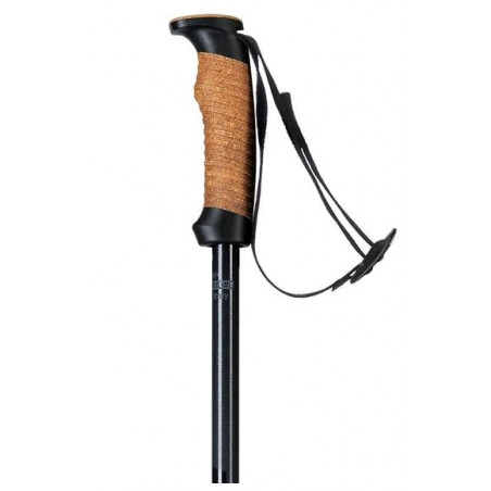 Палки горнолыжные ELAN 21-22 SpeedRod Black 130 3838878618167 Горнолыжные палки Elan 2 790 ₽