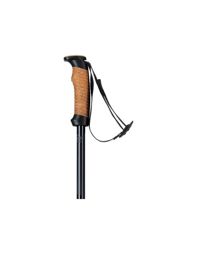 Палки горнолыжные ELAN 21-22 SpeedRod Black 120 3838878618143 Горнолыжные палки Elan 2 790 ₽