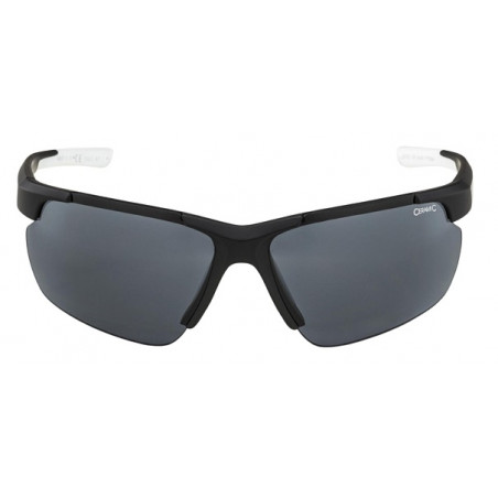 Очки ALPINA Defey Hr Black-White Matt 9333725631916 Очки ALPINA 4 190 ₽