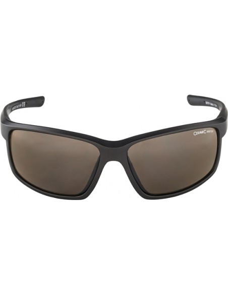 Очки ALPINA Defey Tin-Black Matt 4003692293312 Очки ALPINA 4 190 ₽