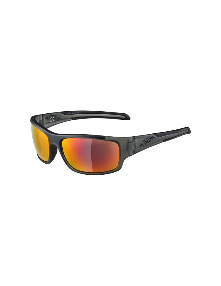 Очки ALPINA Testido Anthracite Black Matt 4003692254962 Очки ALPINA 5 990 ₽