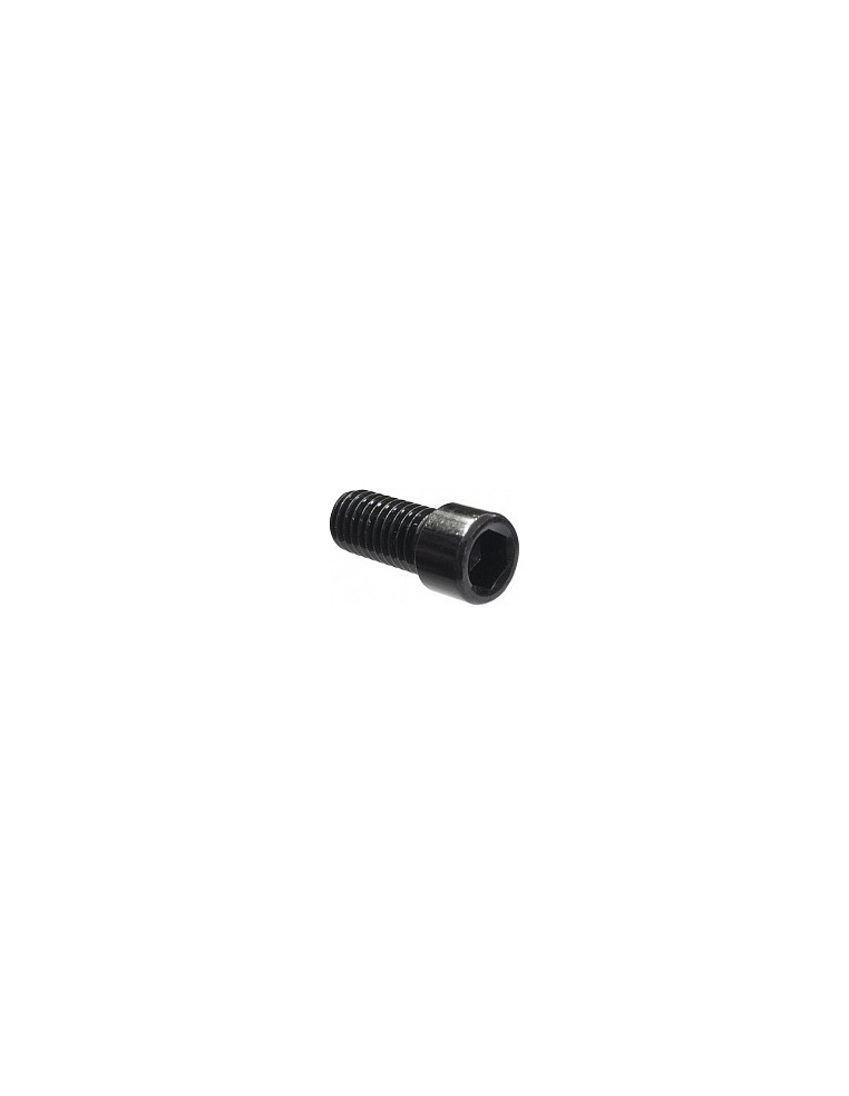 Болт для зажима Ethic 1шт. Clamp screw black 2200000048233 Запчасти для самокатов ETHIC 200 ₽