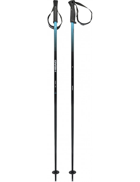 Палки г/л HEAD Frontside black/speed blue 110