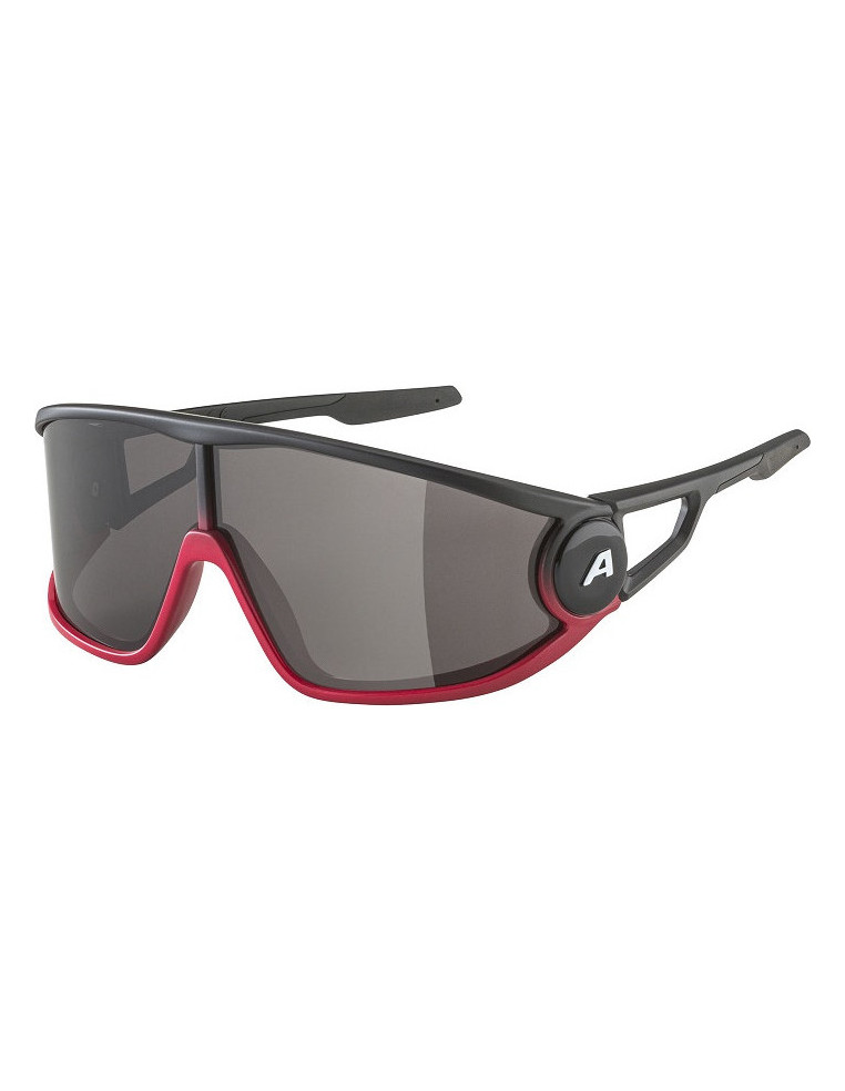 Очки ALPINA Legend Black-Red Matt/Black Hydrophobic Cat. 3 4003692323088 Очки ALPINA 10 990 ₽