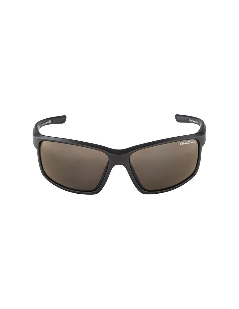Очки ALPINA Defey Tin-Black Matt 4003692293312 Очки ALPINA 4 190 ₽