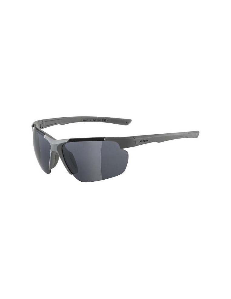 Очки ALPINA Defey Hr Moon/Grey Matt 4003692309488 Очки ALPINA 3 990 ₽