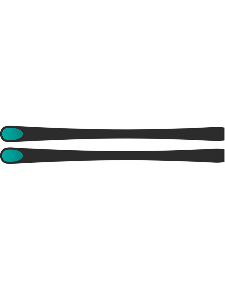 Горные лыжи KASTLE RX12 SL prem 165 + K12 TRI GW 2200000046932 Горные лыжи в Уфе KASTLE 143 900 ₽