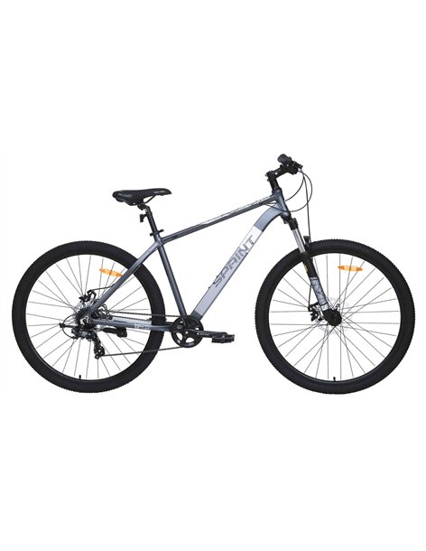 Велосипед 29" TECH TEAM Sprint 19" Grey 4620065572210 Горные велосипеды TECH TEAM 31 900 ₽